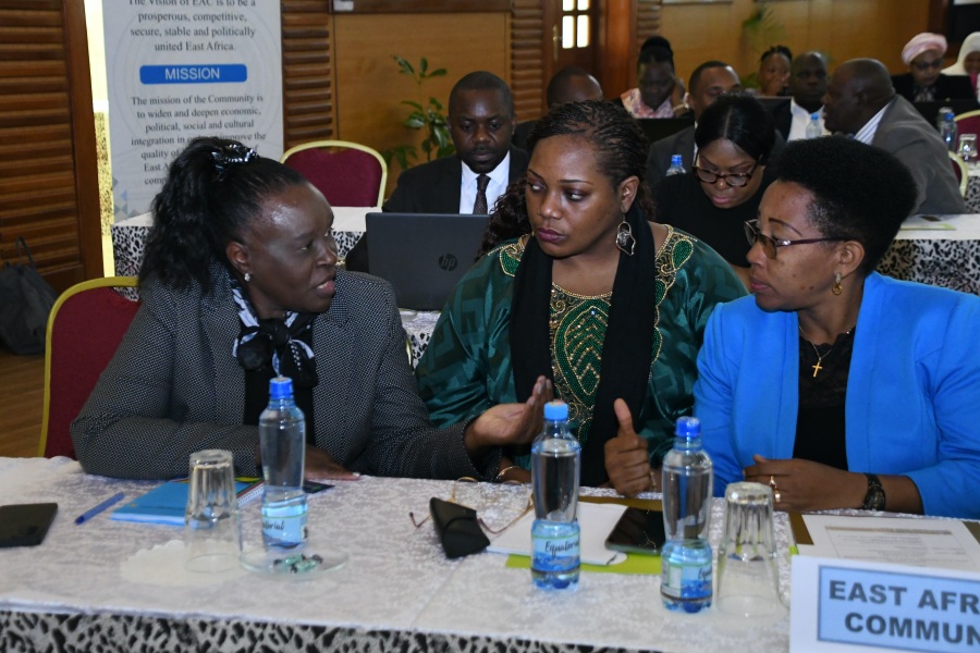The EAC delegation during the negotiations between EAC and Somalia for the admission of the latter into the Community. On the right is the EAC Lead Negotiator, Mrs. Tiri Marie Rose, from the Republic of Burundi.