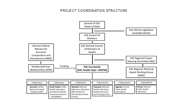 Project coordination structure