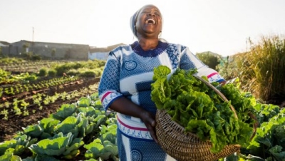 Agriculture, Food Security and Rural Development