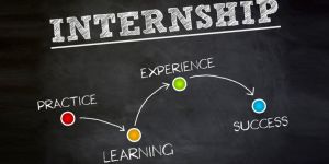 INTERNSHIP PROGRAMMES