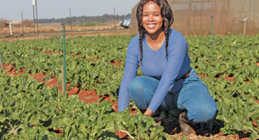 Youth employment in Agriculture