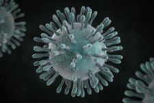 EAC Secretariat asks Partner States to step up surveillance on a novel Corona Virus (2019-nCoV) following outbreak in China