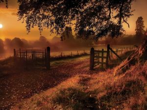event images jpg FDJFrcPPhWHaTjZPInBEVDM